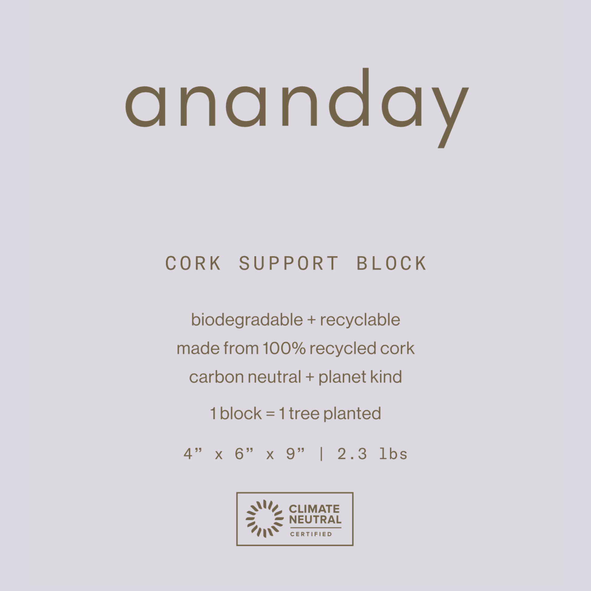Cork Yoga Block